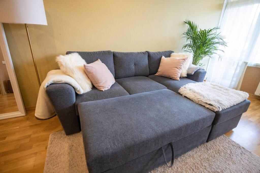 Beautiful & Spacious Apartment In Валмиера Экстерьер фото