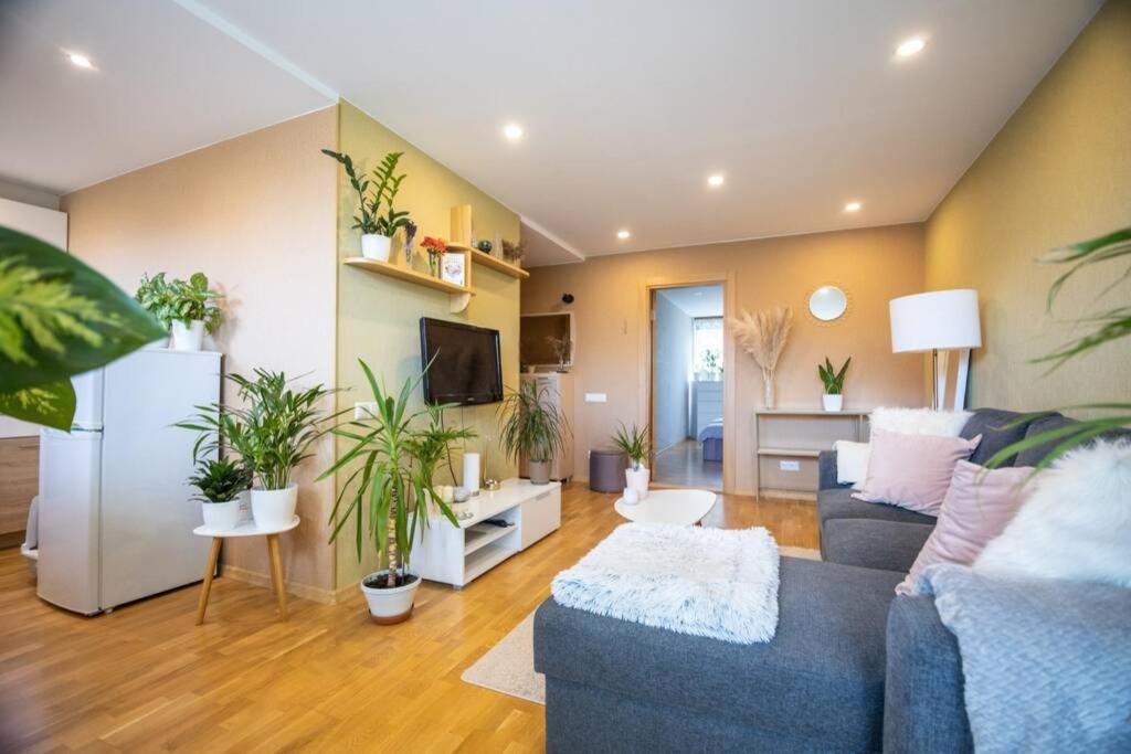 Beautiful & Spacious Apartment In Валмиера Экстерьер фото